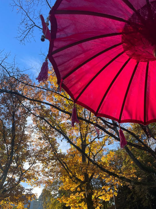 Auf nach Schwaben!