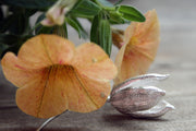 Silbertulpe