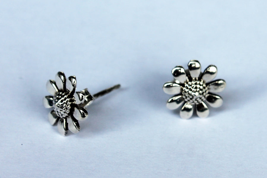 Silberstecker Blume